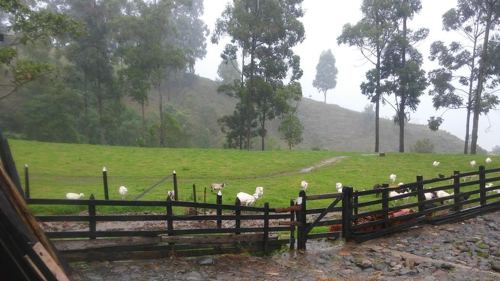 Ecofinca Salento Dış mekan fotoğraf